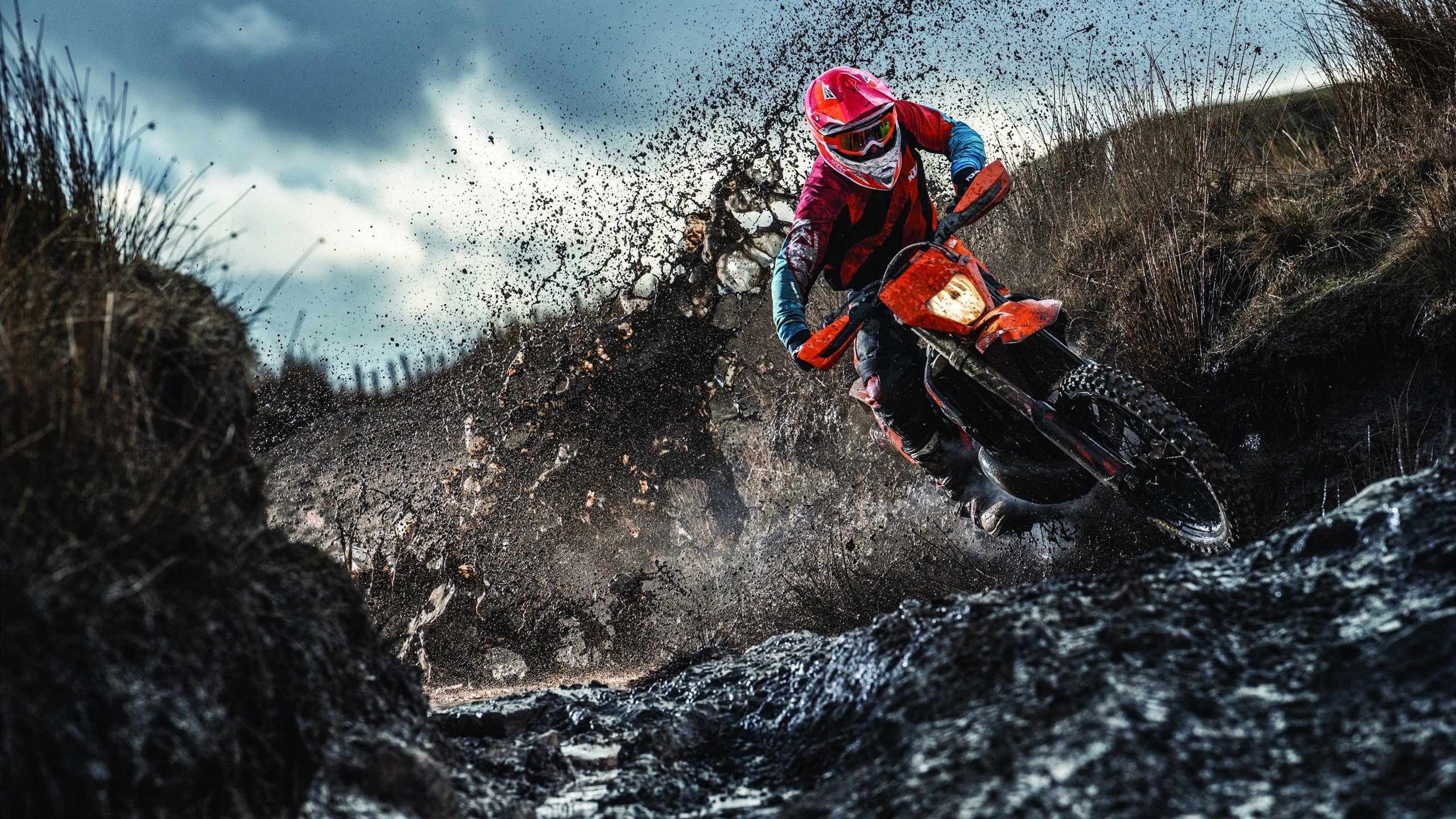 乒乓球赛场焦点！德国队对阵法国队，连胜纪录继续刷新，球队势不可挡