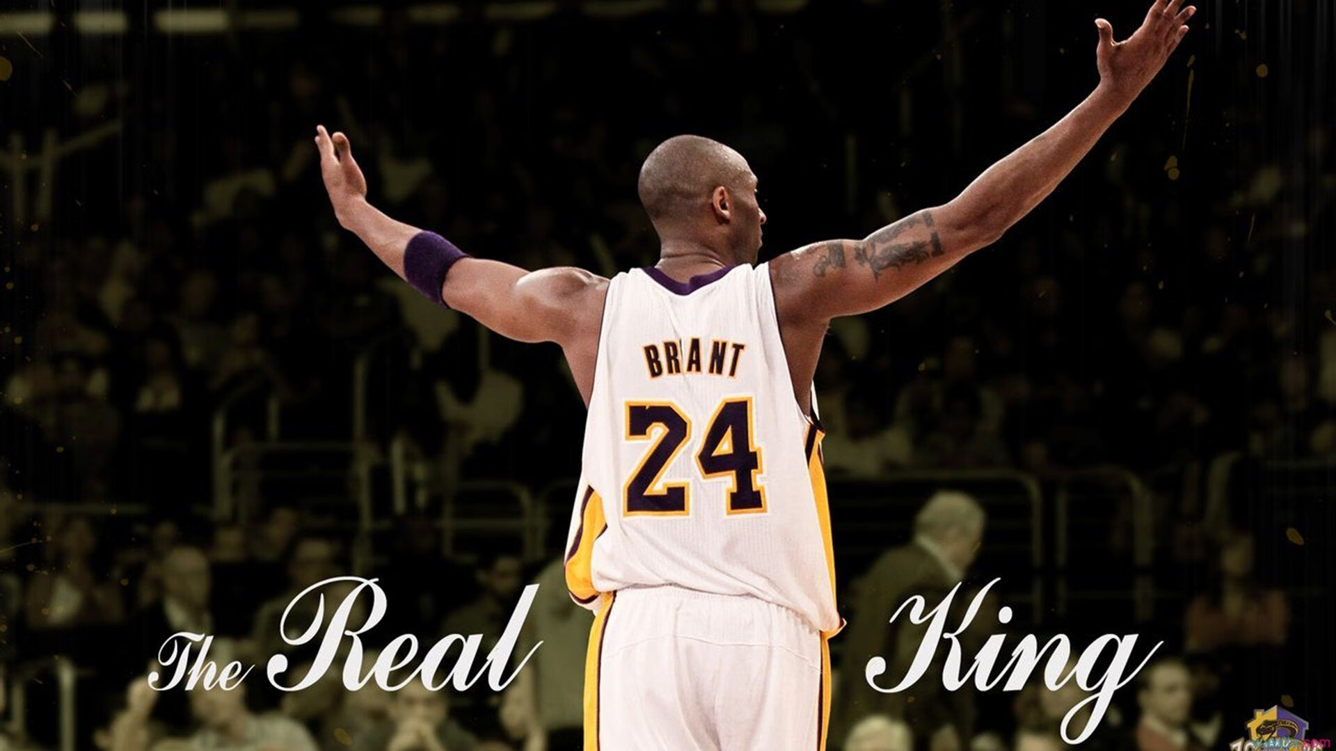 电竞赛场焦点！荷兰队对阵西班牙队，战况跌宕起伏，悬念直到终场